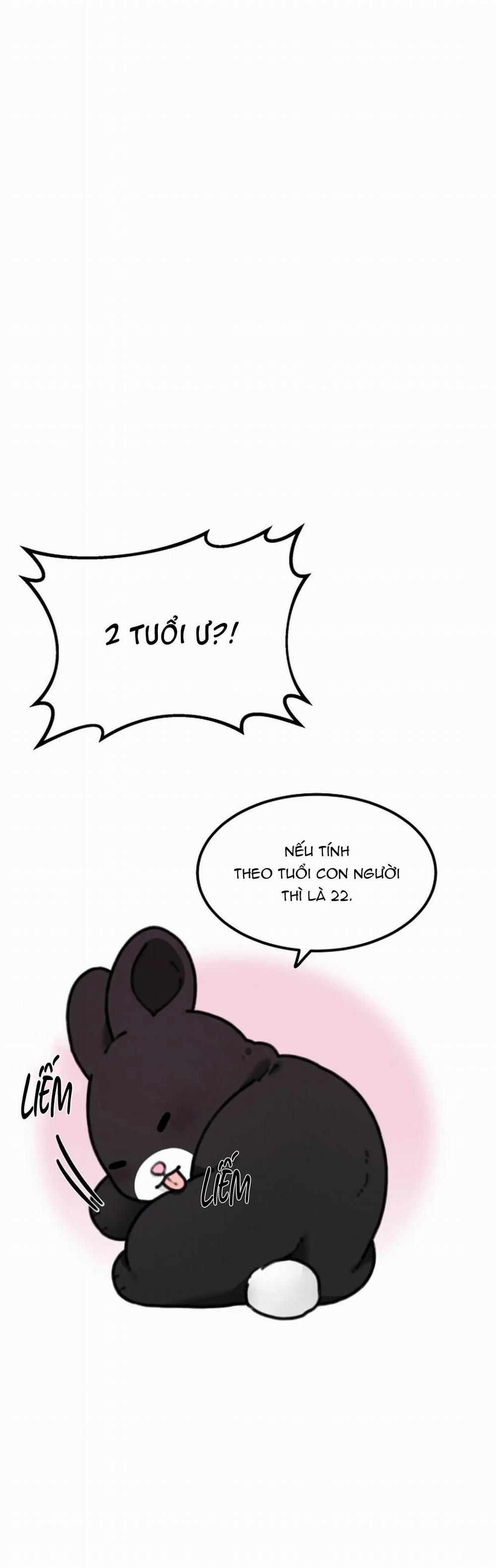 Hoàng Tử Thỏ Trên Cung Trăng 4 trang 0