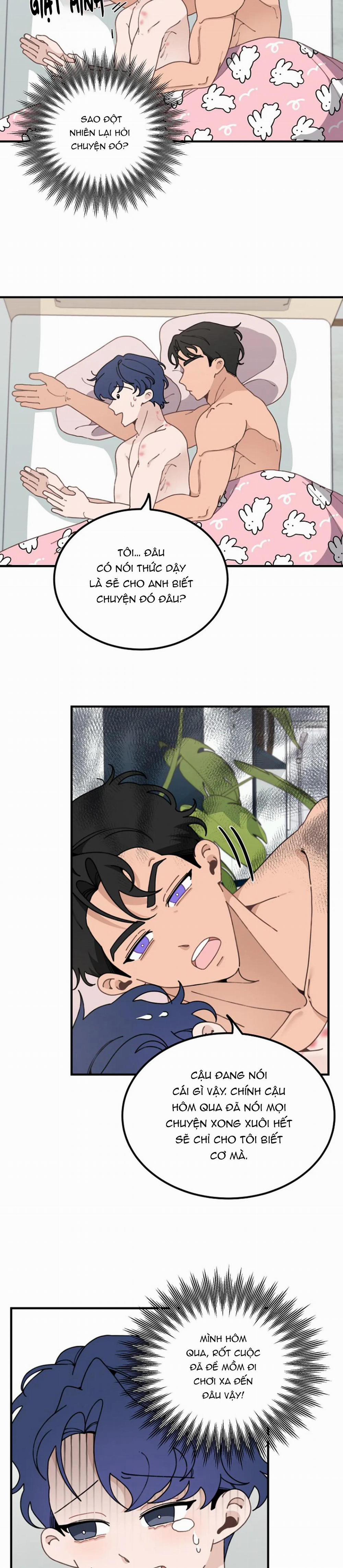 Hoàng Tử Thỏ Trên Cung Trăng 8 trang 1