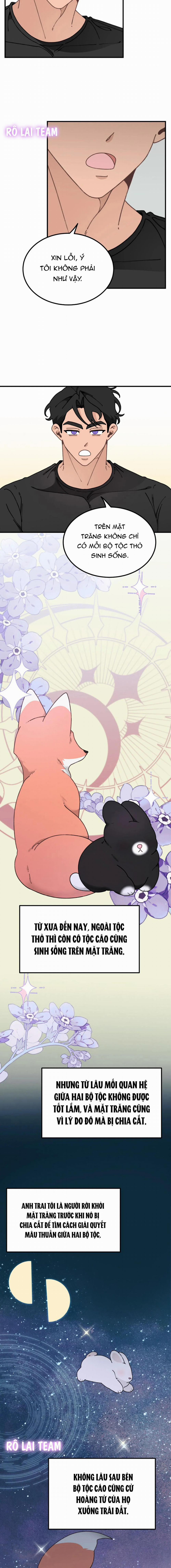 Hoàng Tử Thỏ Trên Cung Trăng 9 trang 1