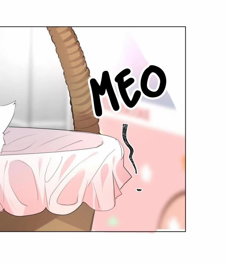 Học Bá Hôm Nay Chọc Đến Tiểu Nãi Bao Rồi Sao 32 trang 29