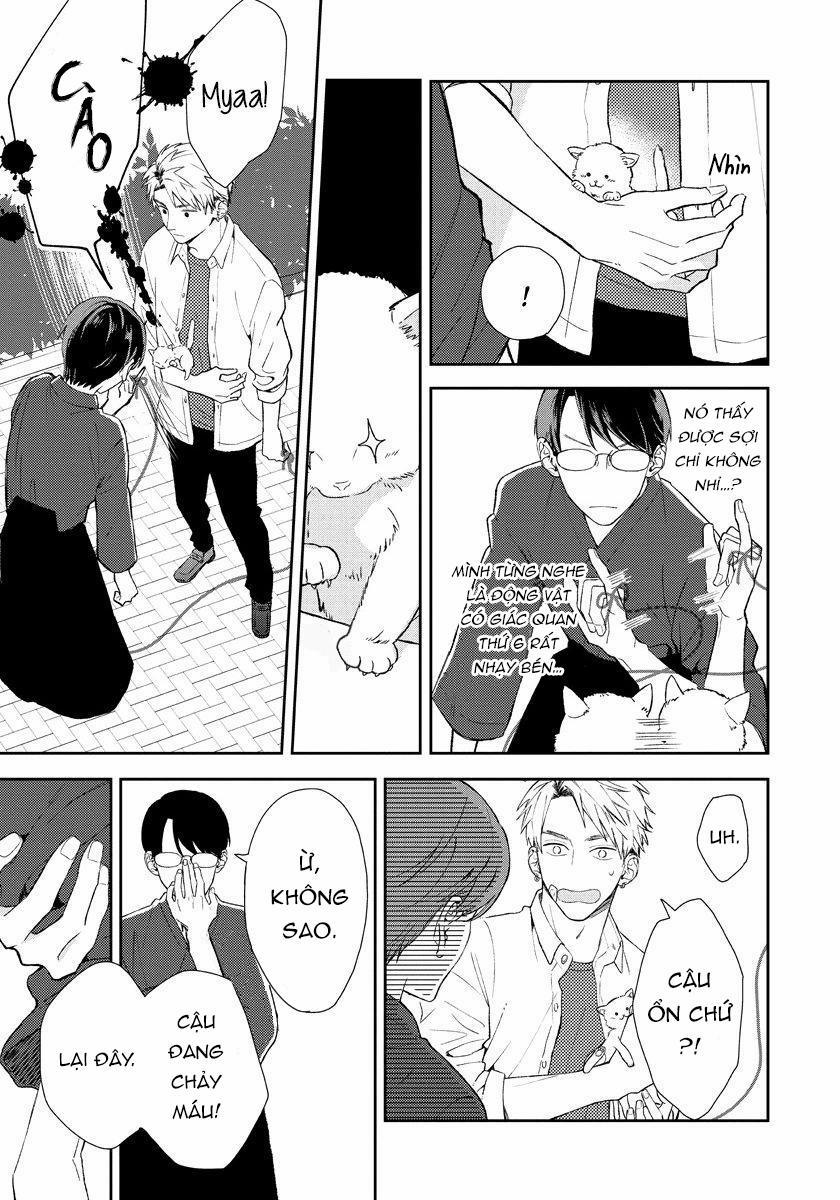 Học sinh gương mẫu muốn chống lại sợi chỉ đỏ của số phận 1 trang 11