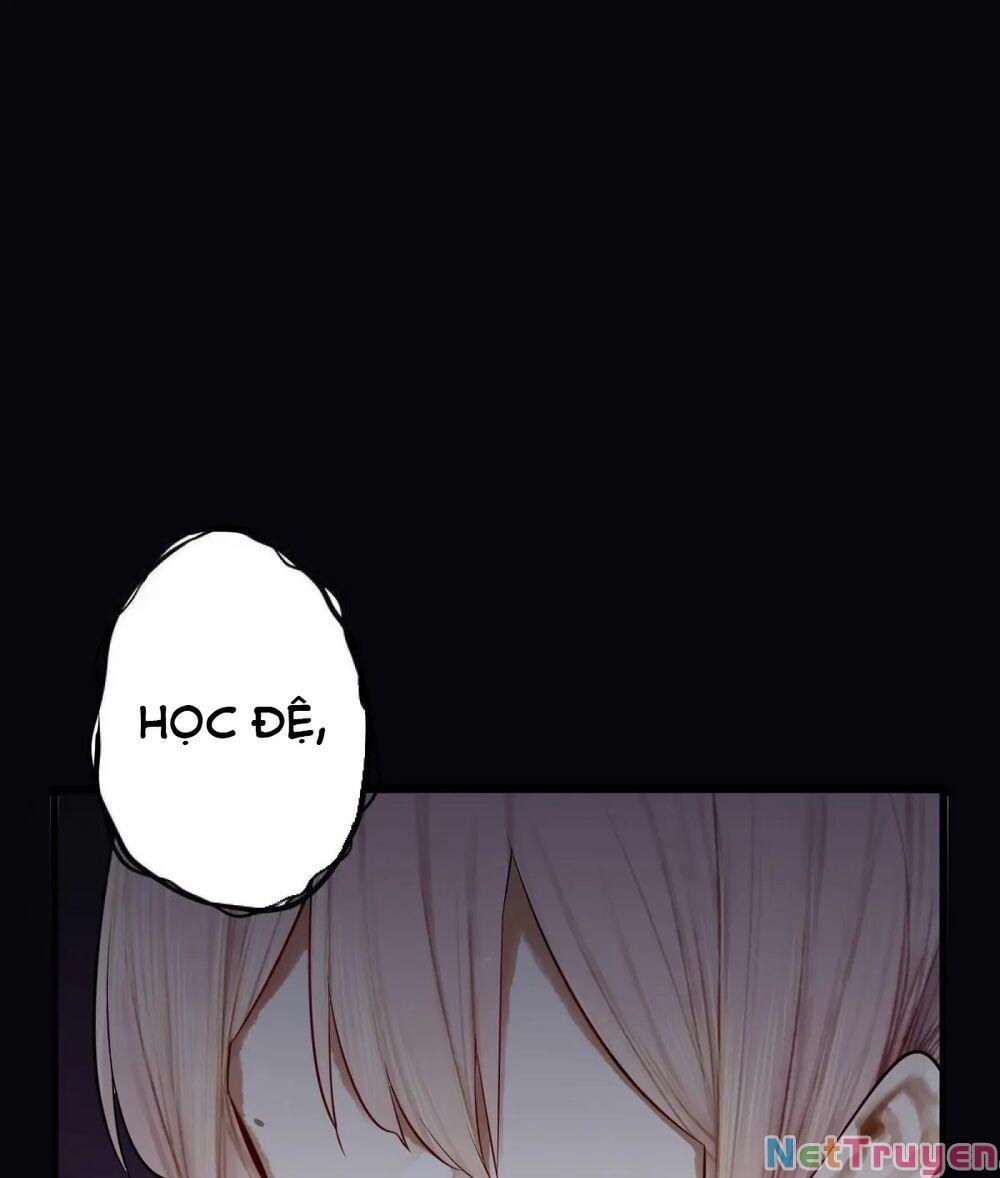 Học Tỷ, Đừng Livestream Nữa! 11 trang 4