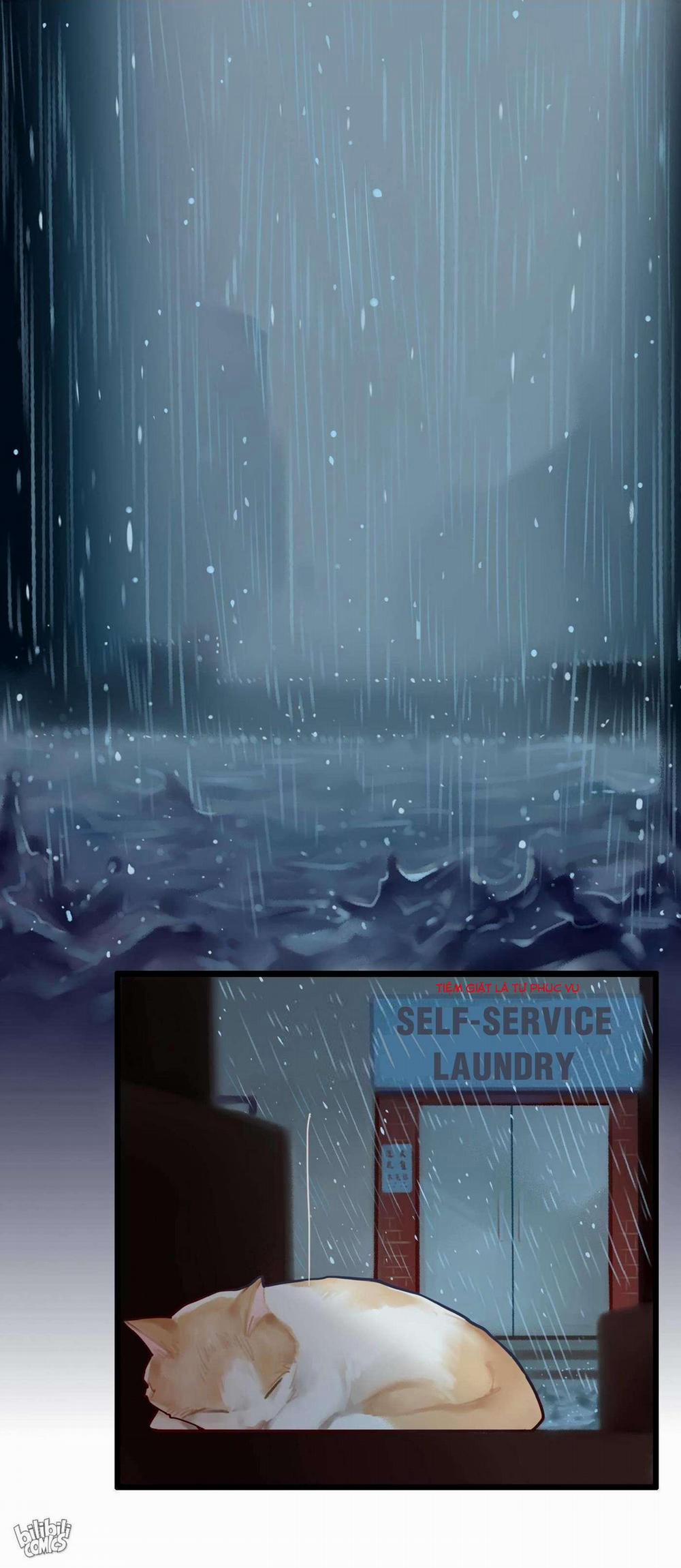 Học Tỷ, Đừng Livestream Nữa! 3 trang 1