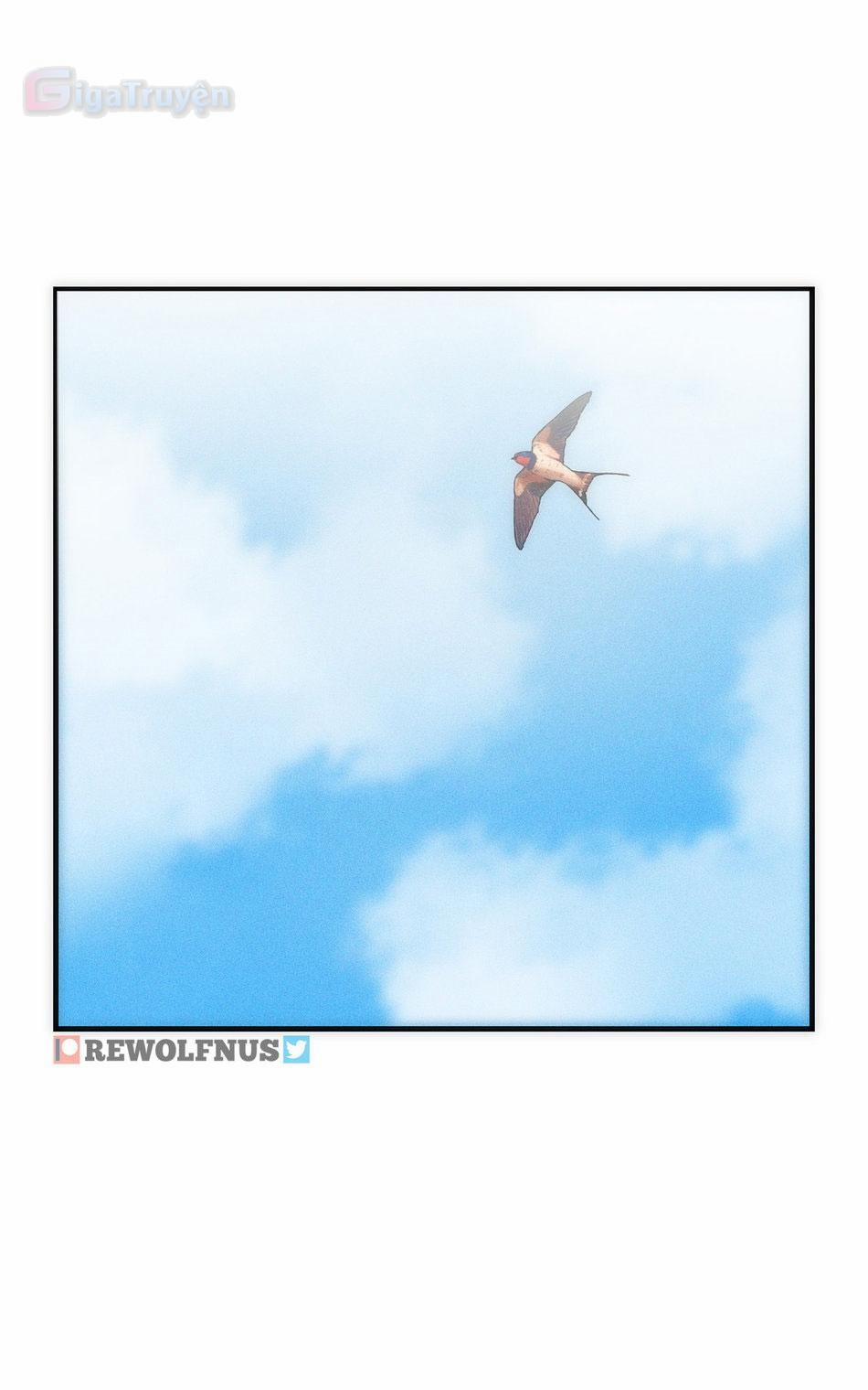 Học viện anh hùng – Dabi x Shoto 7 trang 8