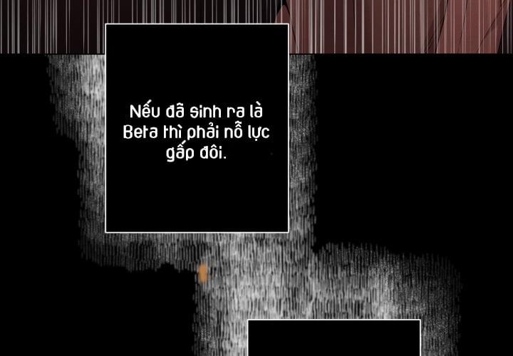 Hội Chứng Minmotion 10 trang 131