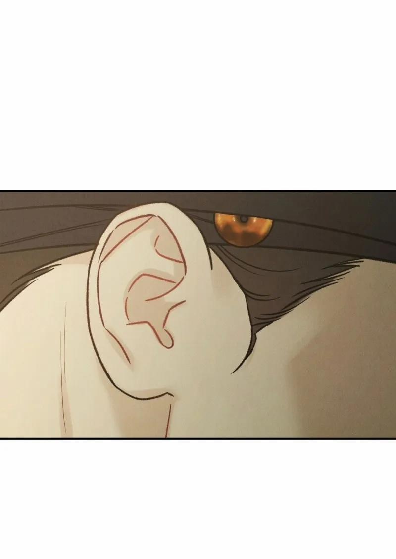 Hỡi Cơn Gió, Xin Giáng Lâm 7 trang 55