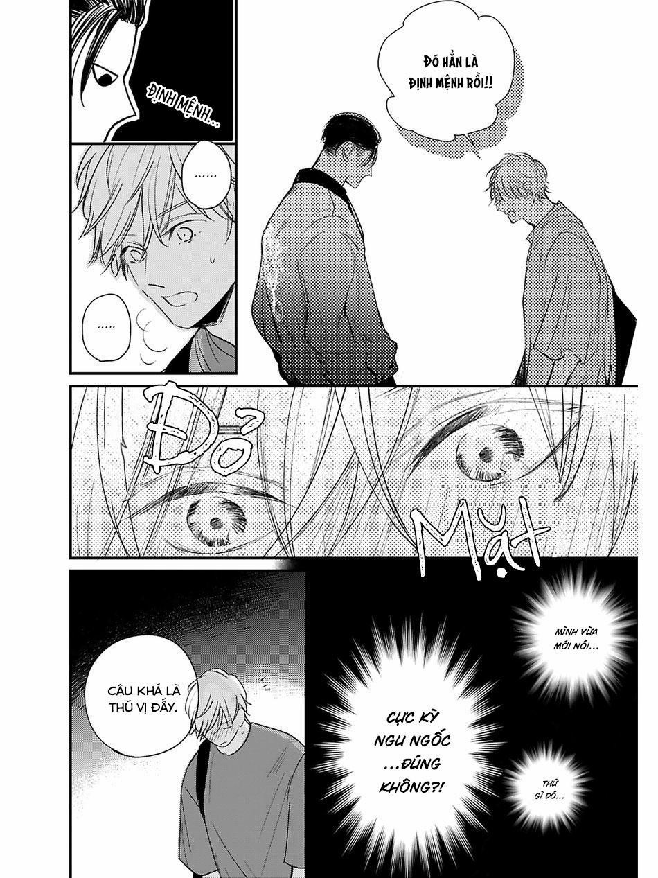 Hồi Kết Mảnh Tình Vương 4 trang 5