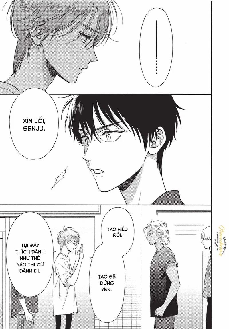 Hội Trưởng Toratsuki, Hãy Đấu Với Tôi Đi! 7 trang 18