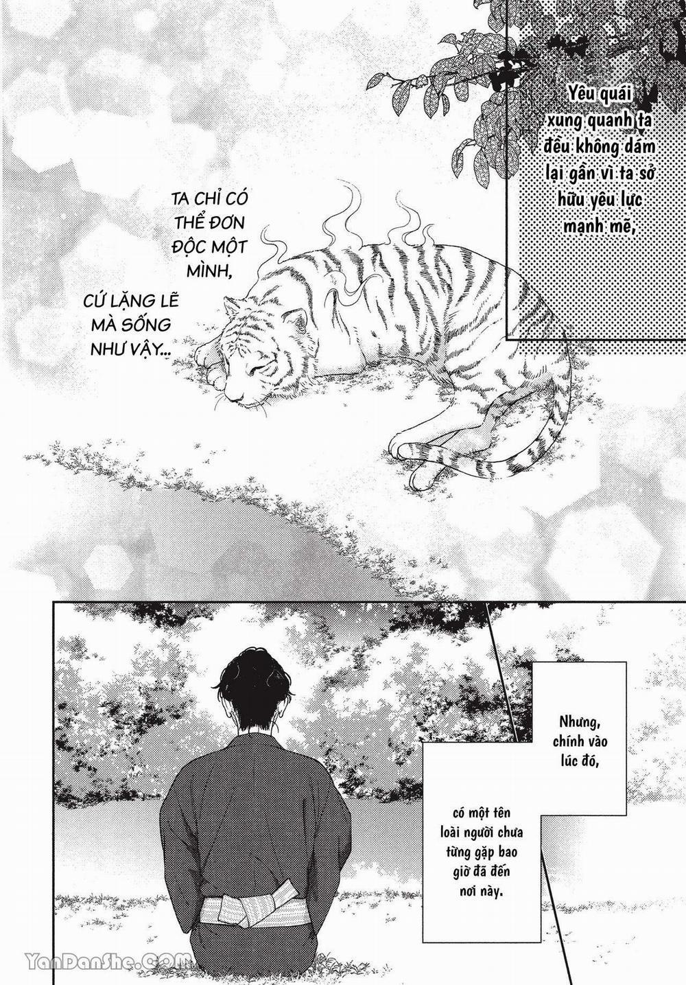 Hội Trưởng Toratsuki, Hãy Đấu Với Tôi Đi! 8 trang 17