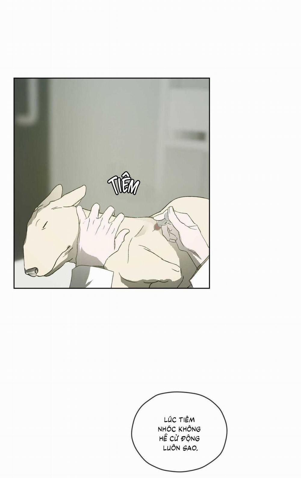 Hồi Ức Của Nhịp Thở 29 trang 31