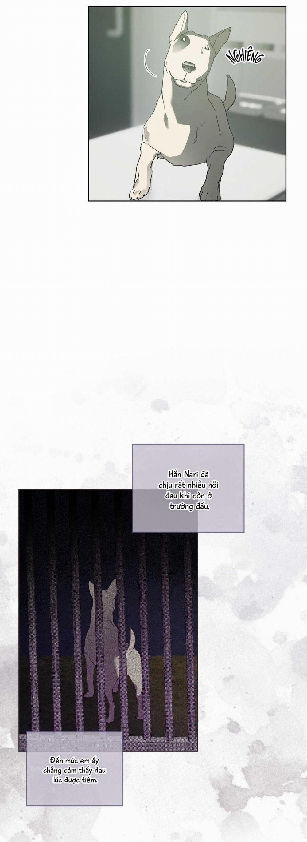 Hồi Ức Của Nhịp Thở 29 trang 32