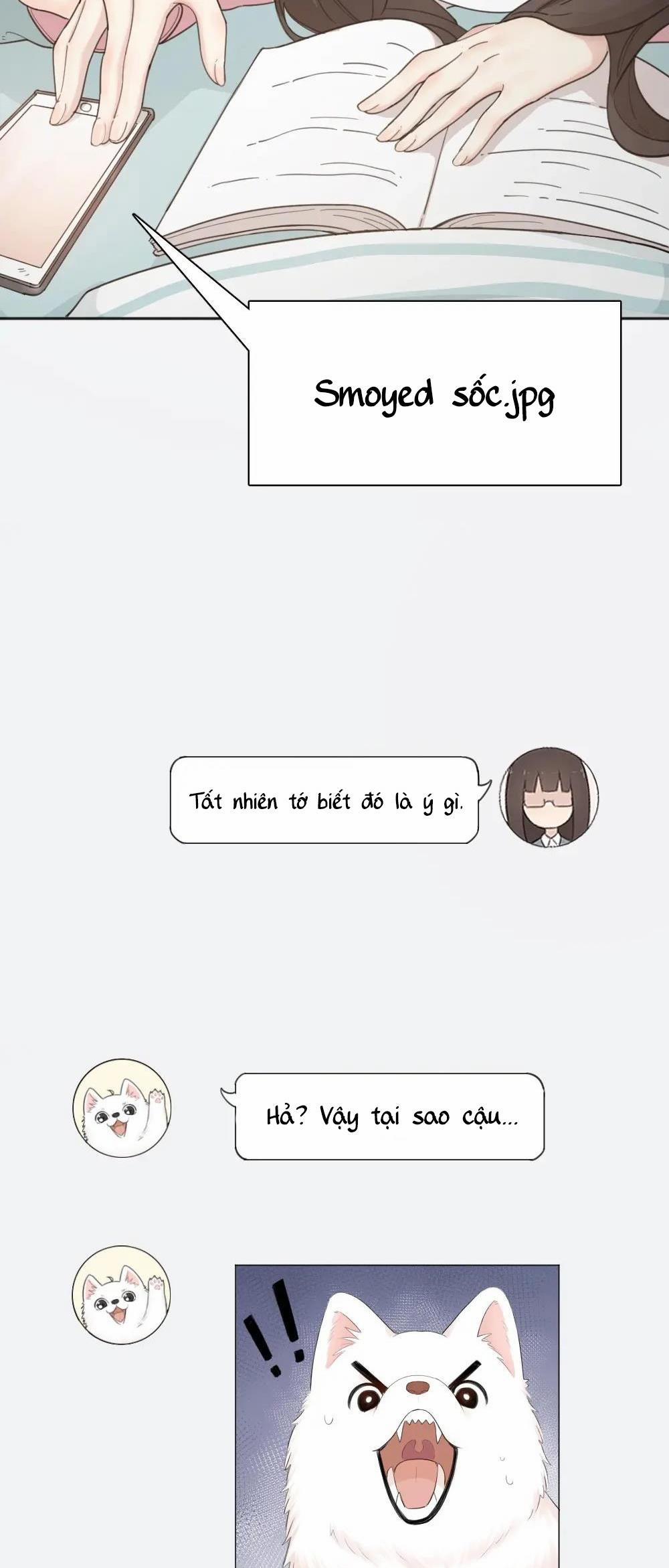 Hôm nay cô ấy cũng rất dễ thương 17 trang 21