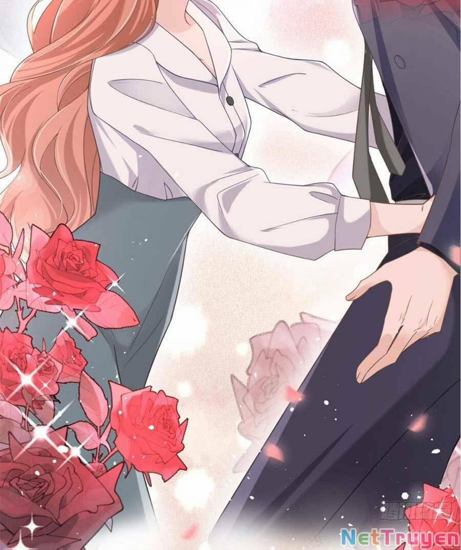 Hôm Nay Từ Chối Lục Tiên Sinh Chưa? 33 trang 32