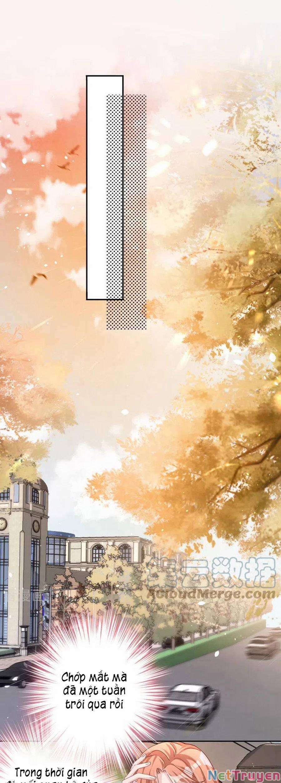 Hôm Nay Từ Chối Lục Tiên Sinh Chưa? 48 trang 5