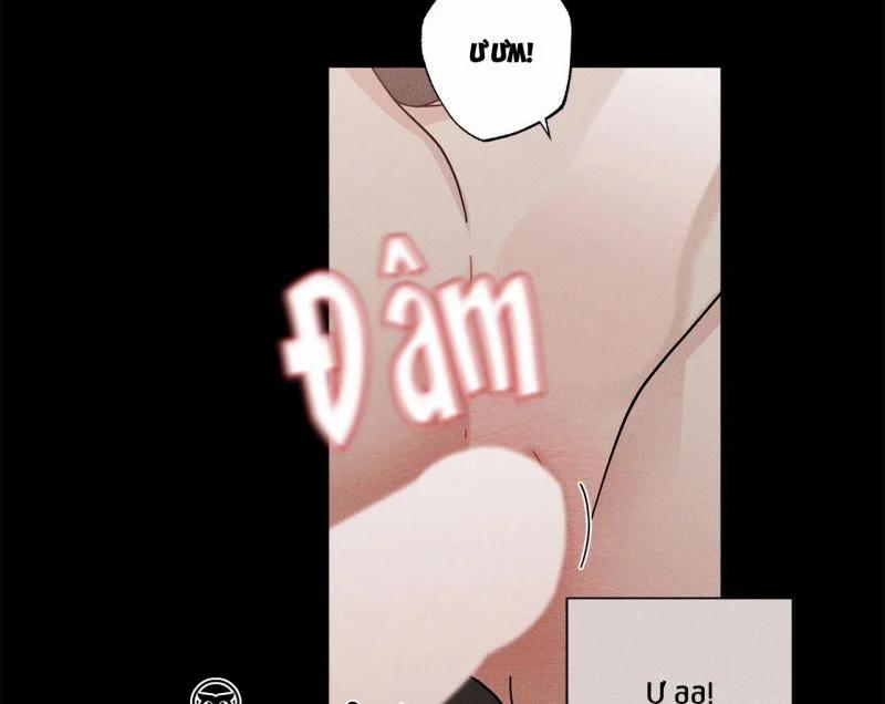 Home Five 10 trang 14