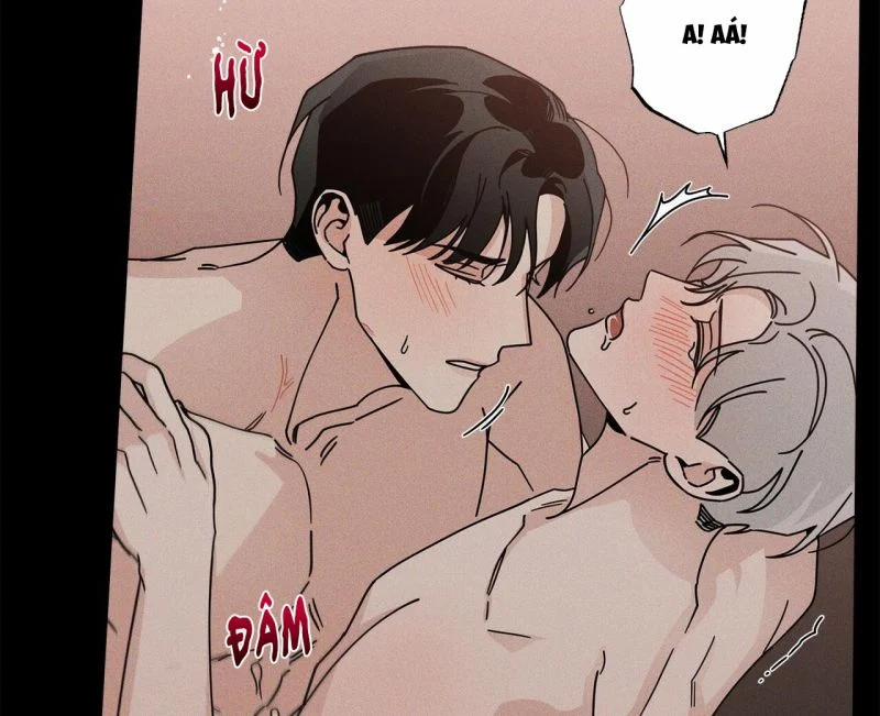 Home Five 10 trang 38