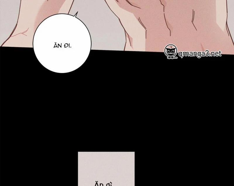 Home Five 10 trang 5