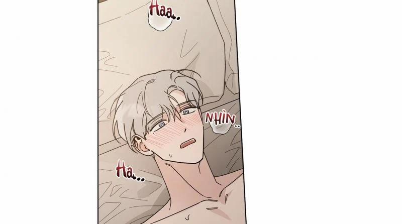 Home Five 13 trang 168