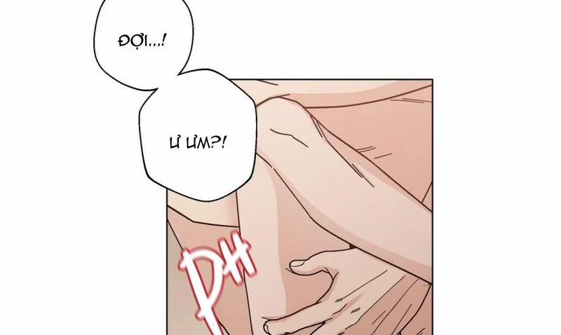 Home Five 14 trang 95