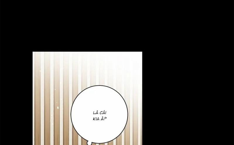 Home Five 15 trang 141