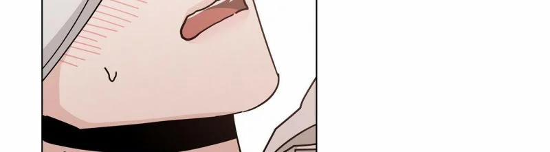 Home Five 17 trang 204