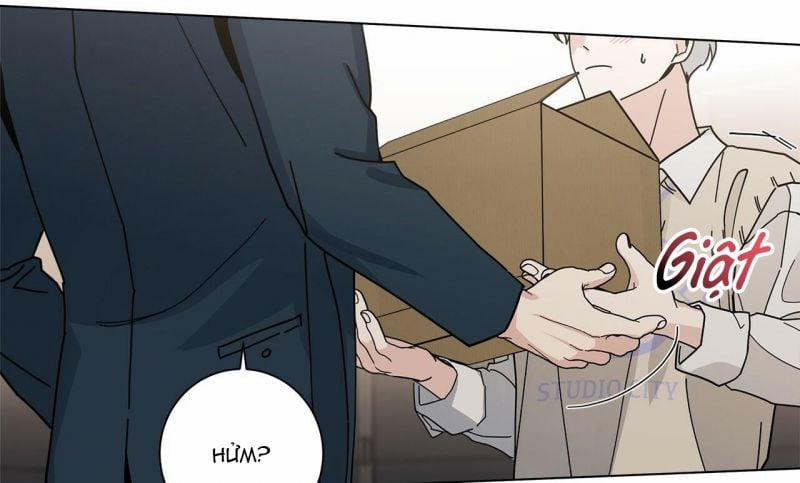 Home Five 20 trang 11