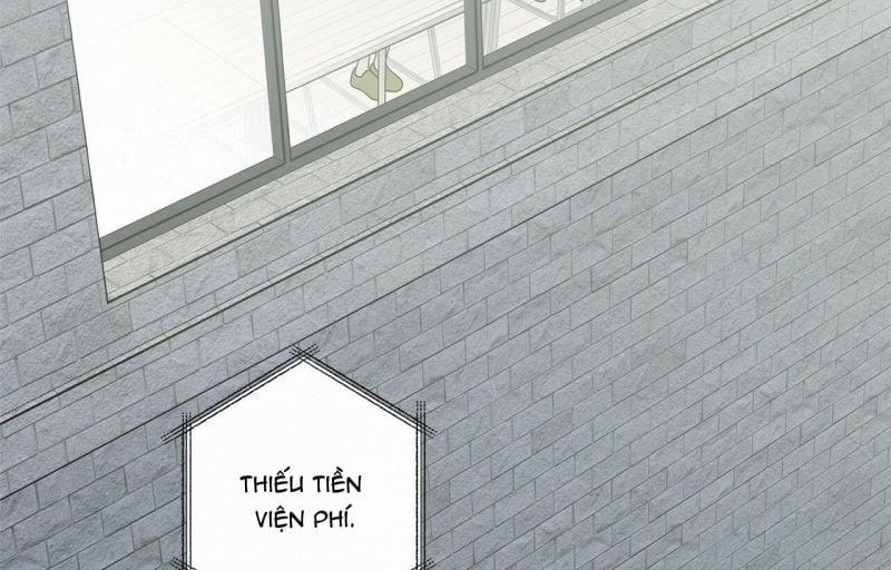 Home Five 20 trang 117