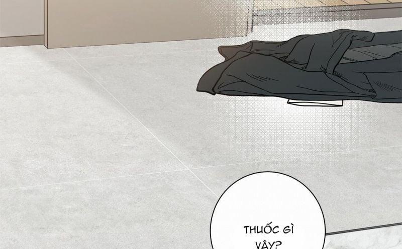 Home Five 20 trang 176