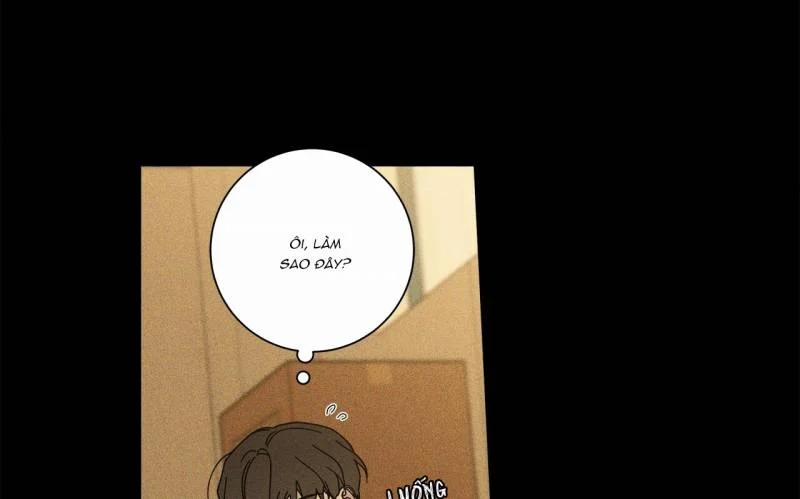 Home Five 21 trang 172