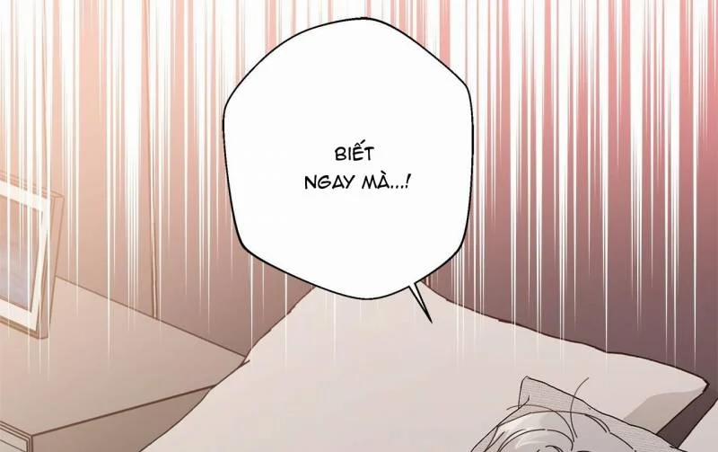 Home Five 22 trang 4