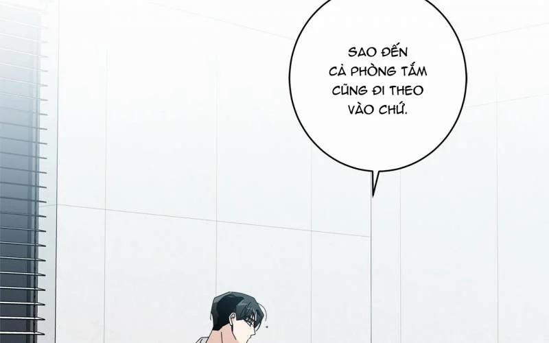 Home Five 25 trang 149