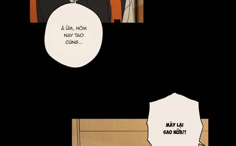 Home Five 26 trang 10