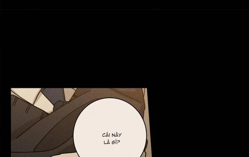 Home Five 26 trang 100