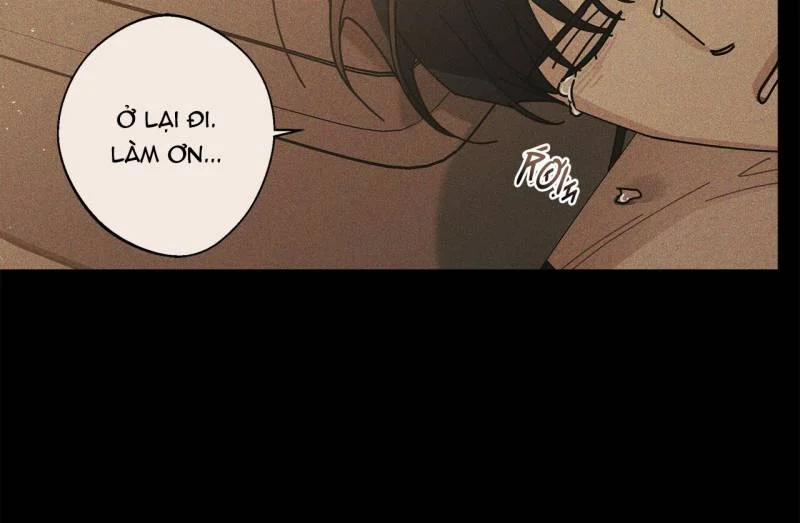 Home Five 27 trang 47