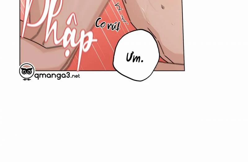 Home Five 28 trang 101