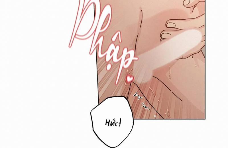 Home Five 28 trang 115