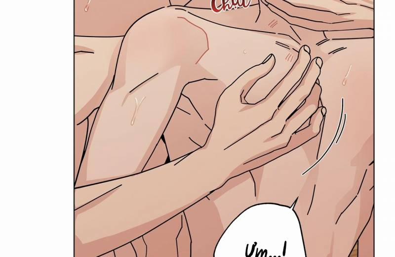 Home Five 28 trang 120