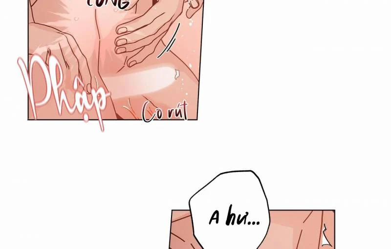 Home Five 28 trang 134