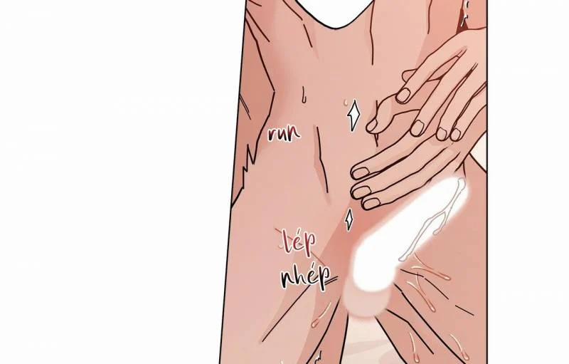 Home Five 28 trang 135