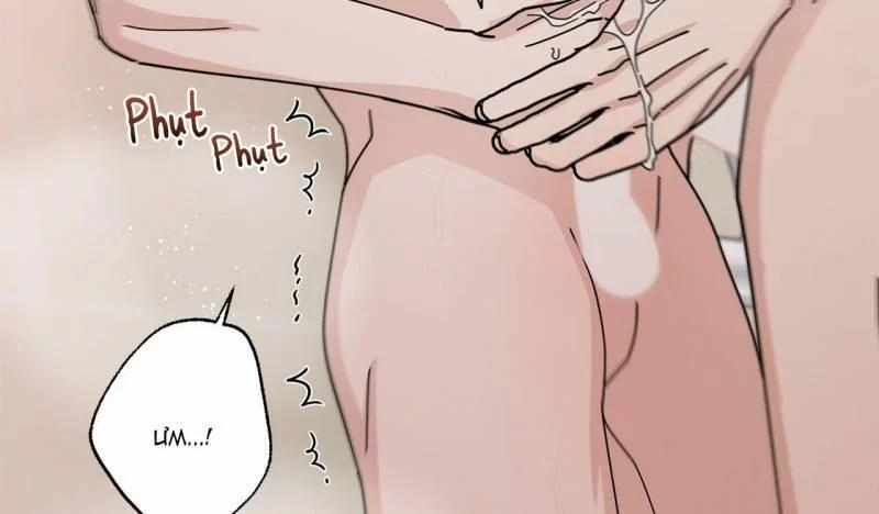 Home Five 29 trang 62