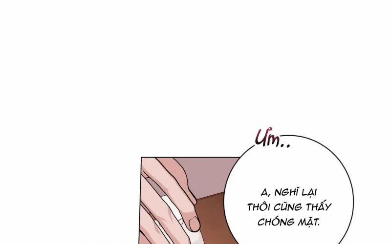 Home Five 31 trang 12