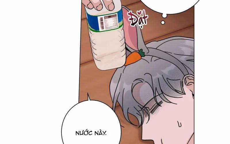 Home Five 31 trang 13