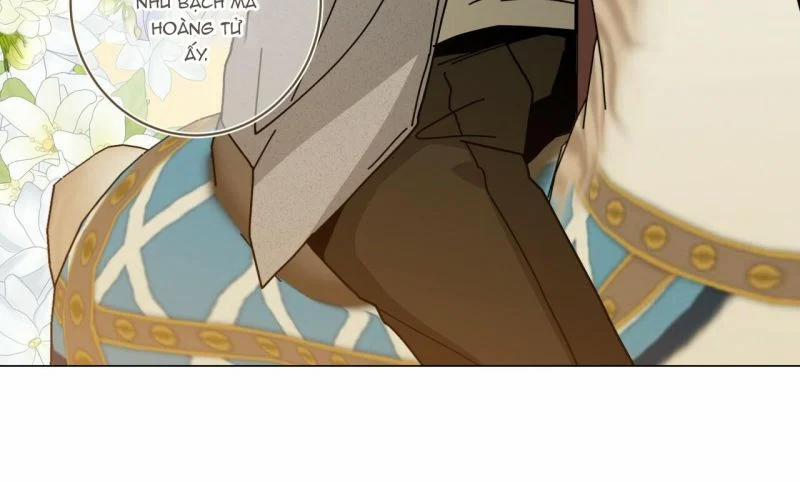 Home Five 31 trang 146