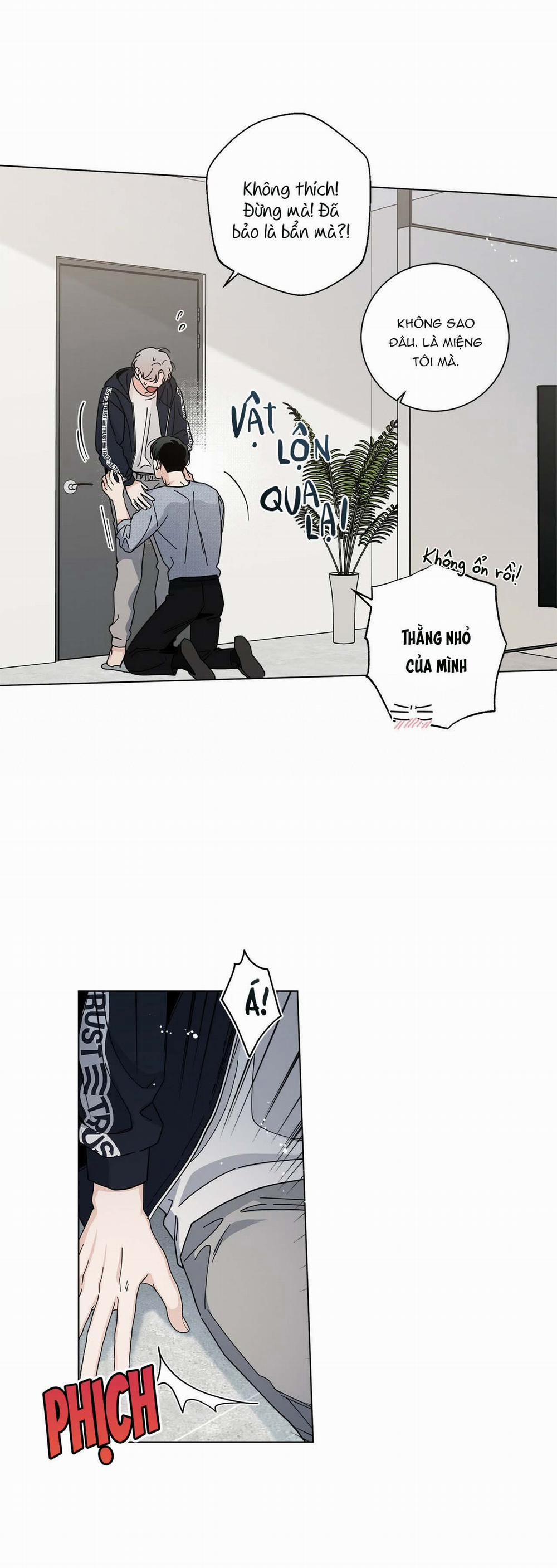 Home Five 8 trang 15