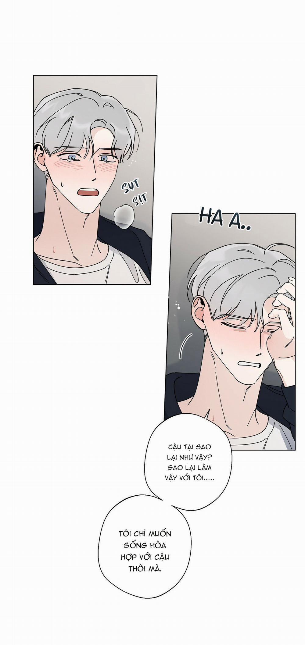 Home Five 8 trang 17