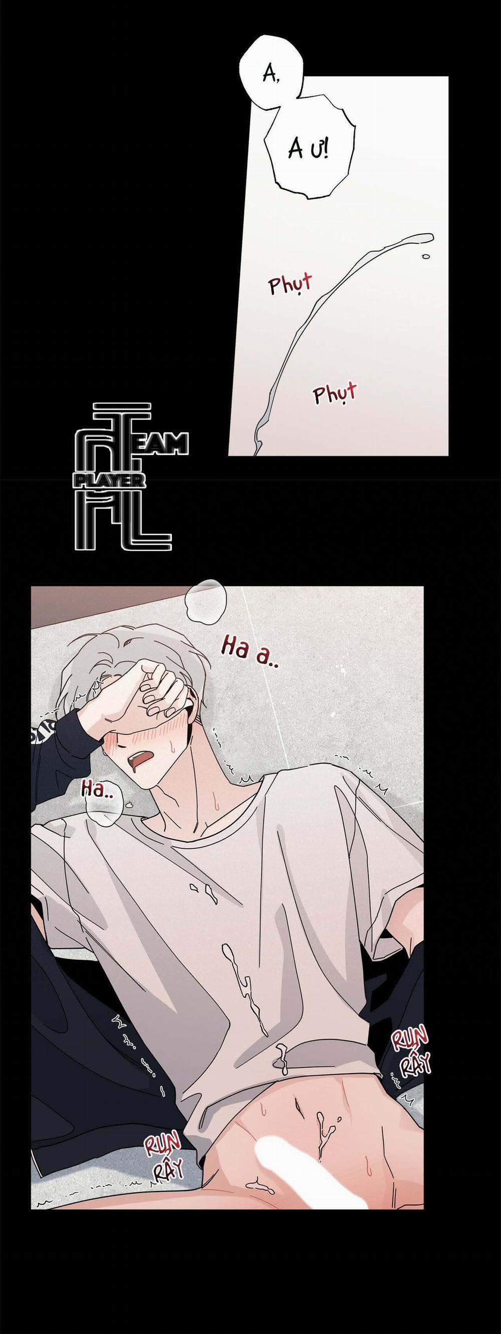 Home Five 8 trang 48