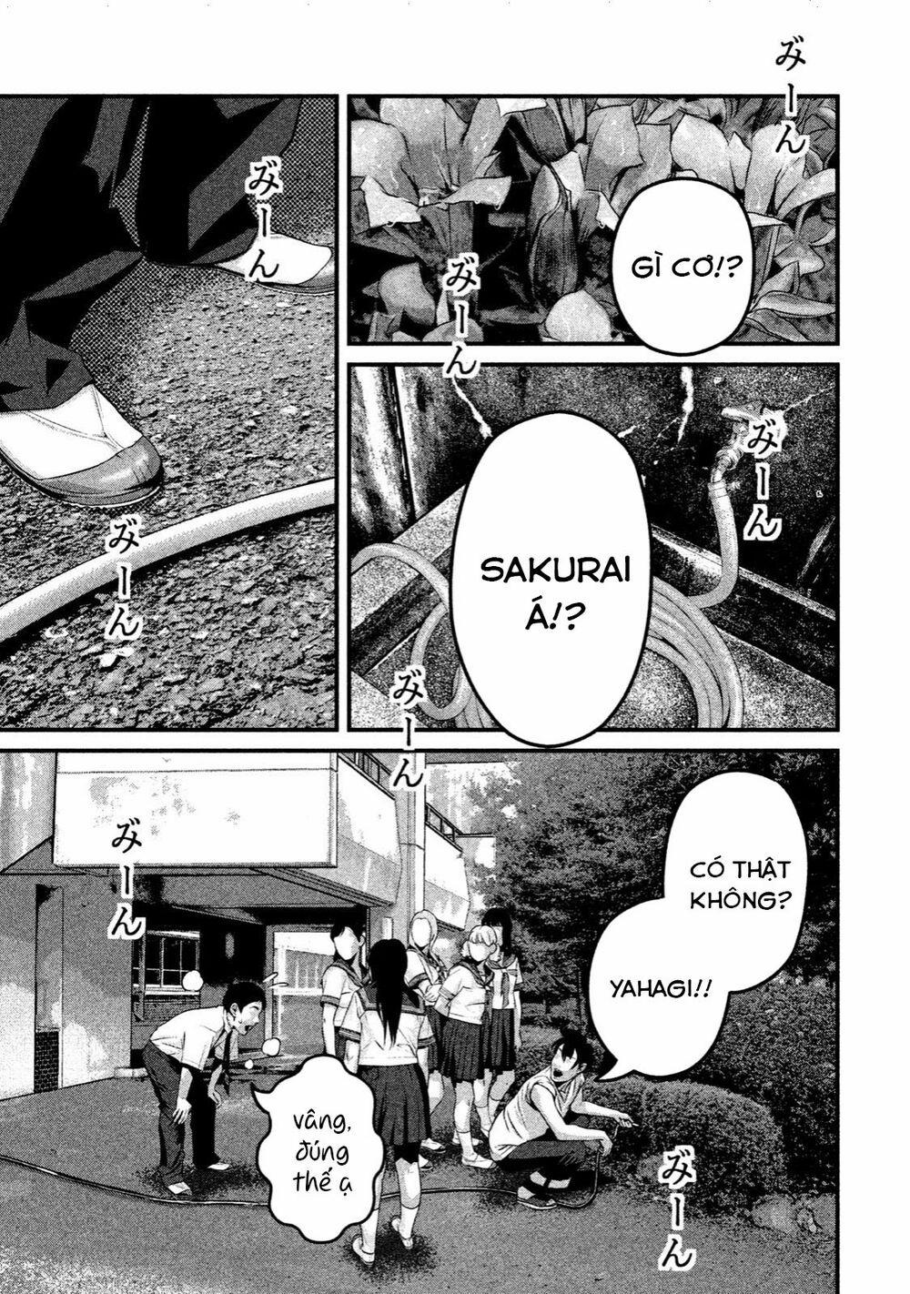 Home Room 0 Cơm hộp trang 3