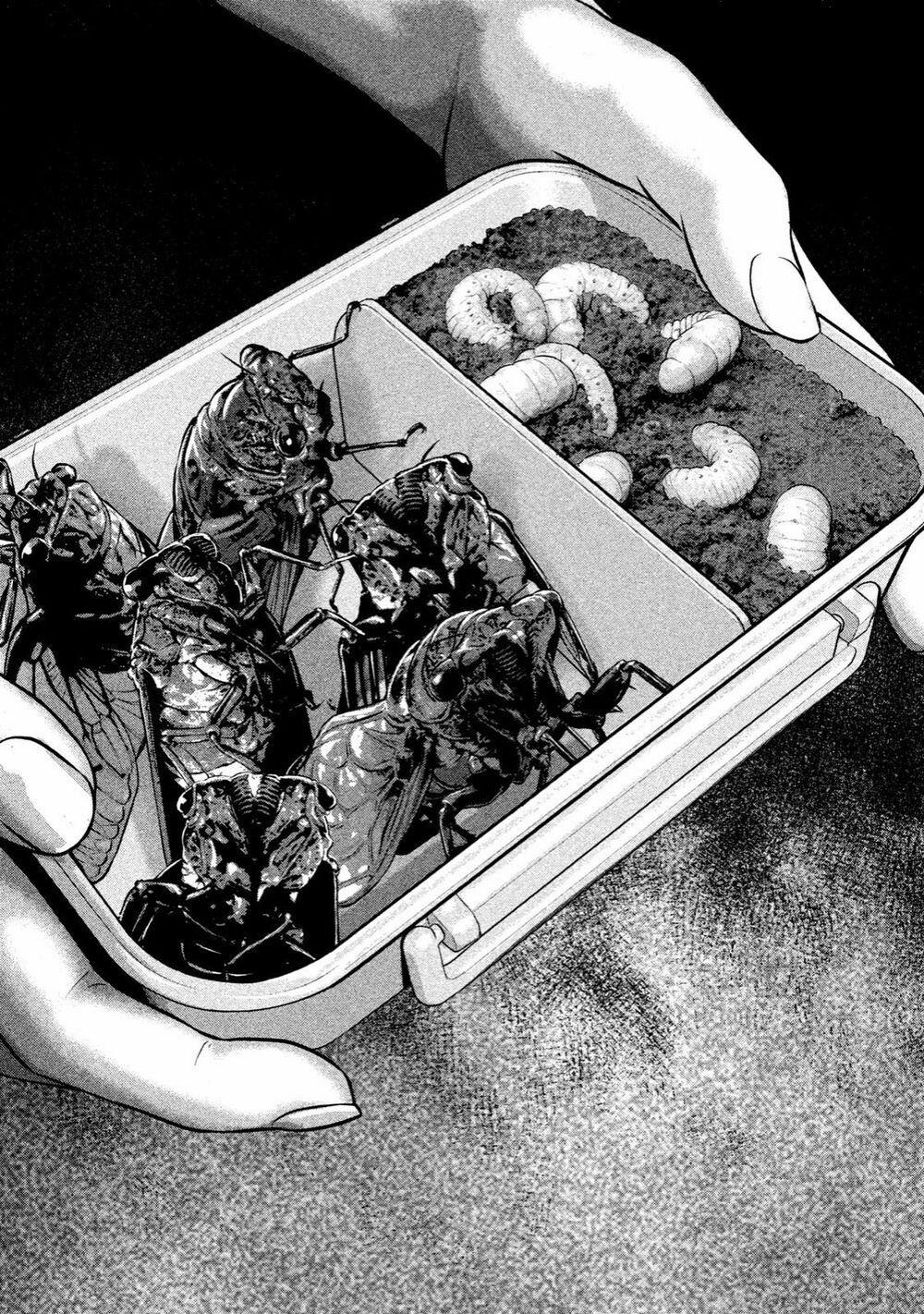 Home Room 0 Cơm hộp trang 8