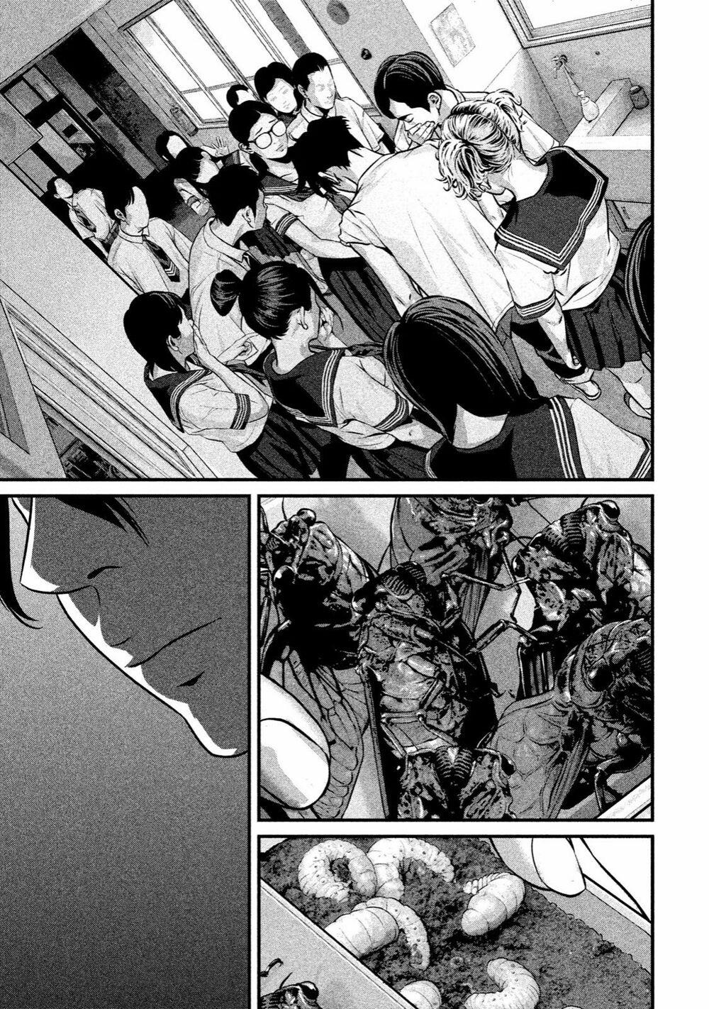 Home Room 0 Cơm hộp trang 9