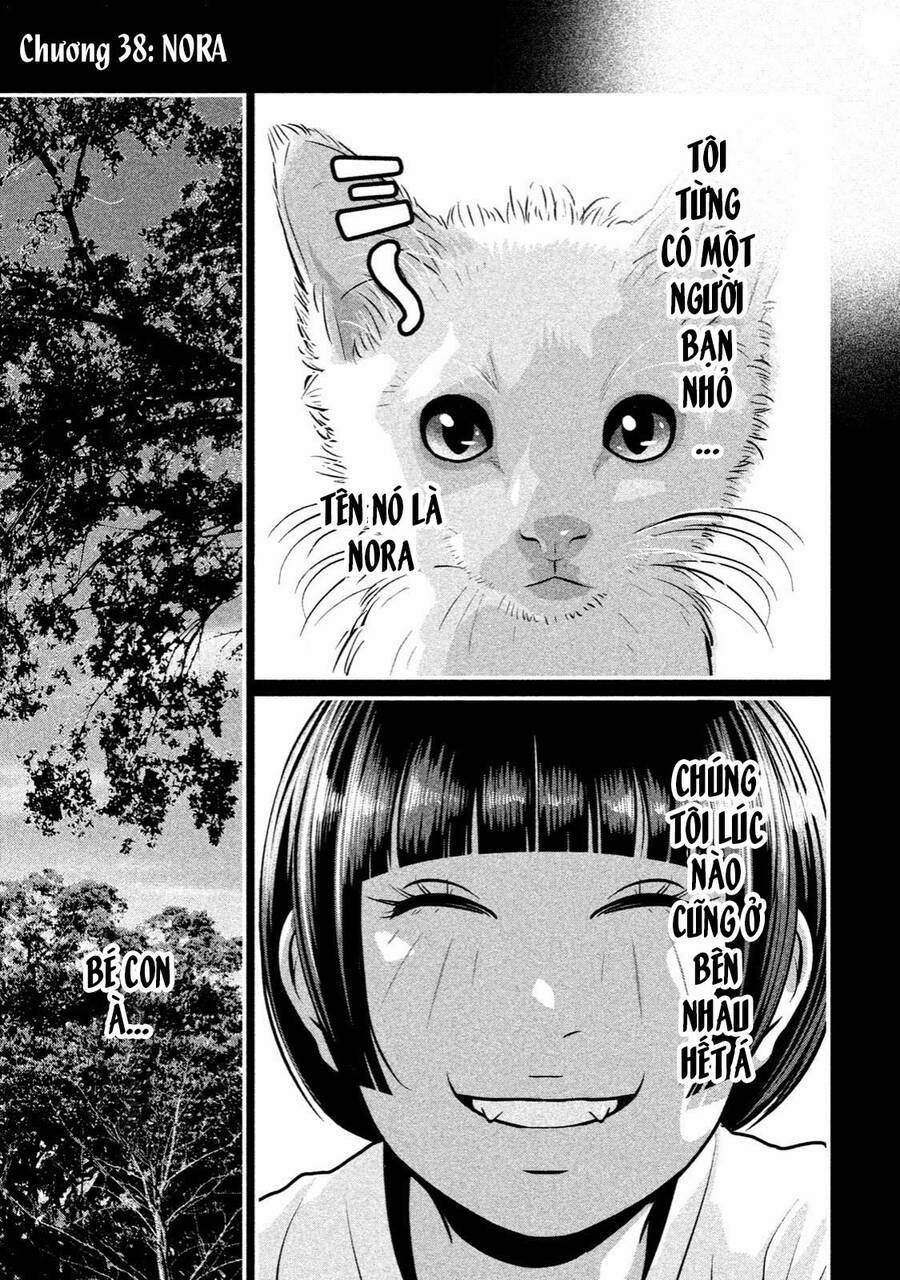 Home Room 38 trang 2